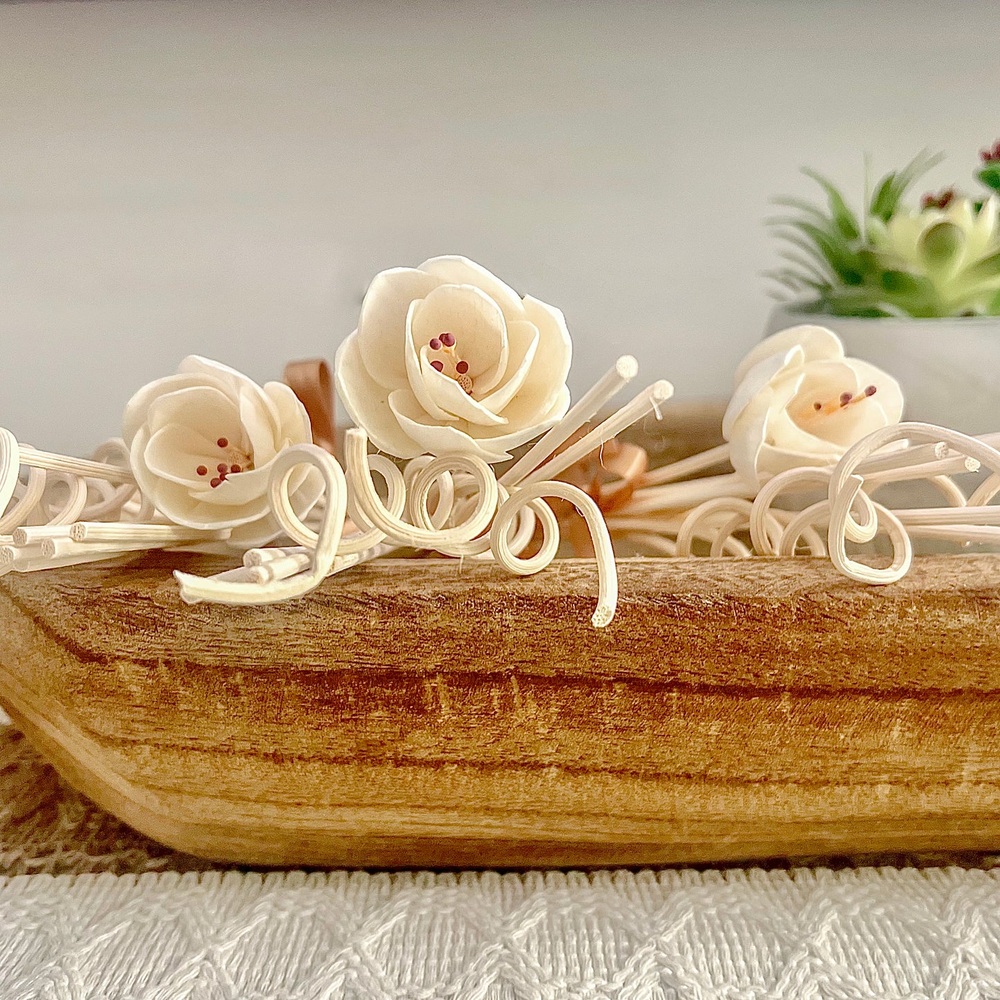 10 PIECE NATURAL RATTAN REEDS