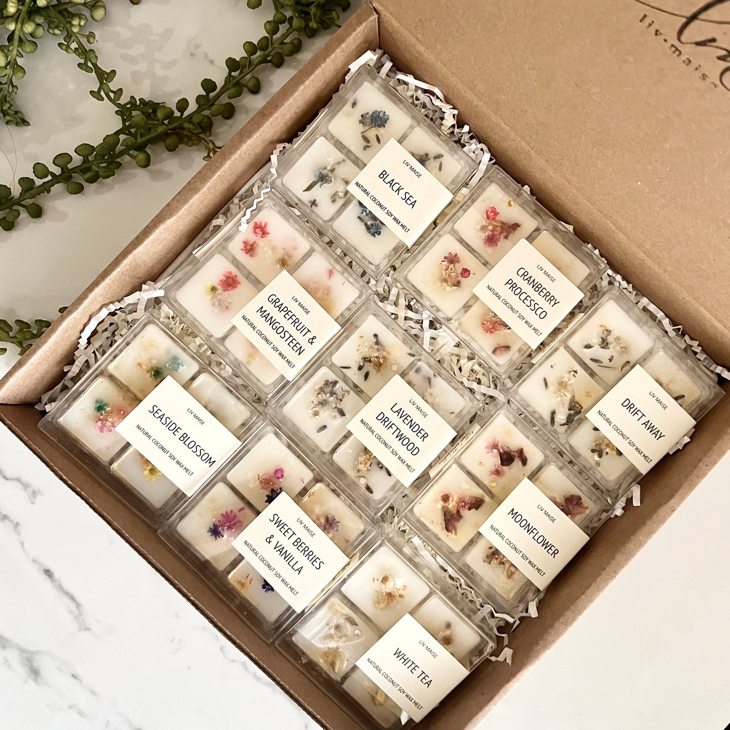 BOTANICAL AROMA MELT COLLECTION