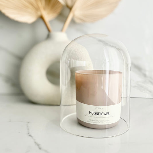 TRANSLUCENT GLASS CLOCHE