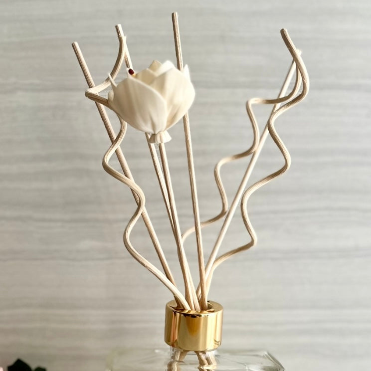 10 PIECE NATURAL RATTAN REEDS