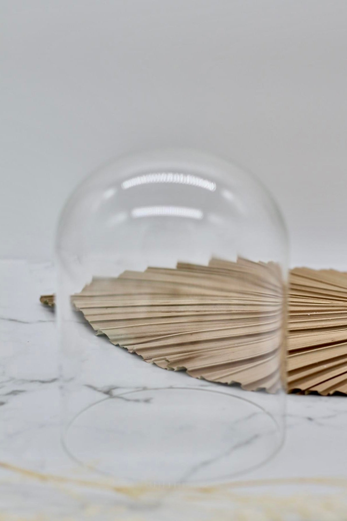 TRANSLUCENT GLASS CLOCHE