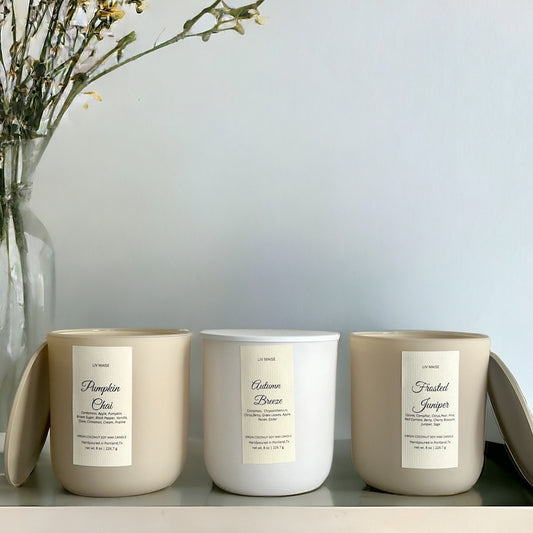 AURA  CANDLES- FALL/WINTER SCENT SALE