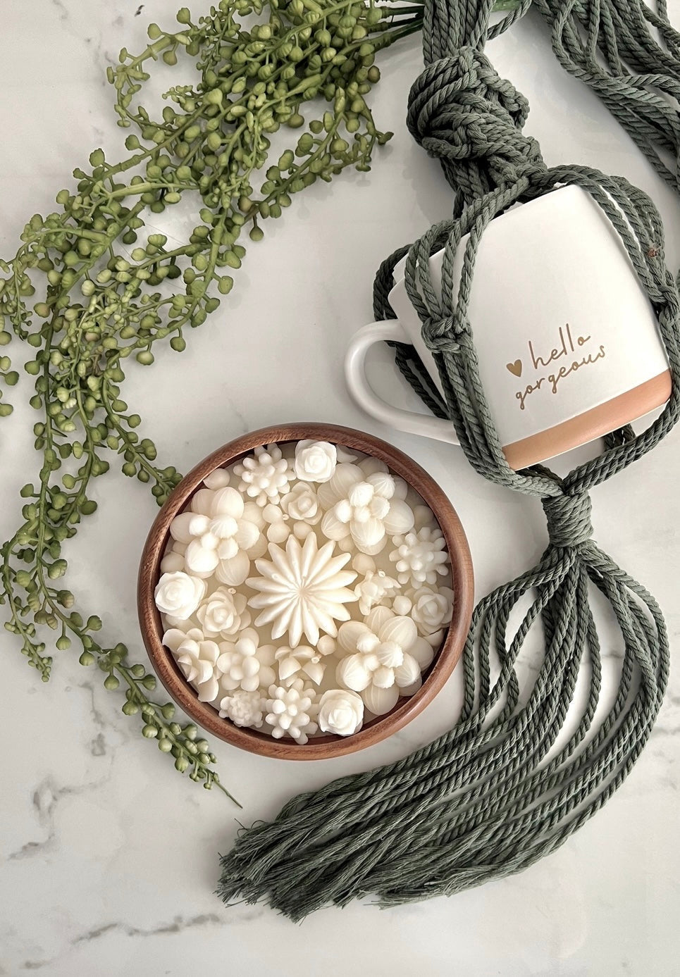 ACACIA SUCCULENT CANDLE